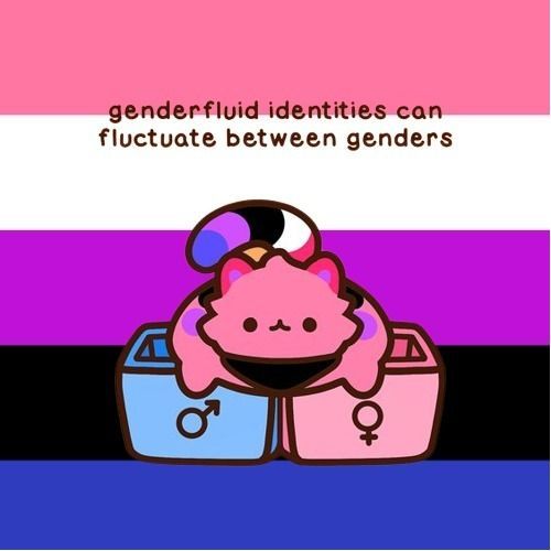 Illustration of a pink cartoon cat holding a genderfluid flag, sitting between male and female symbol boxes, with the caption “genderfluid identities can fluctuate between genders.”