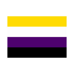 Nonbinary pride flag featuring four horizontal stripes: yellow, white, purple, and black — each color representing different aspects of nonbinary identity.