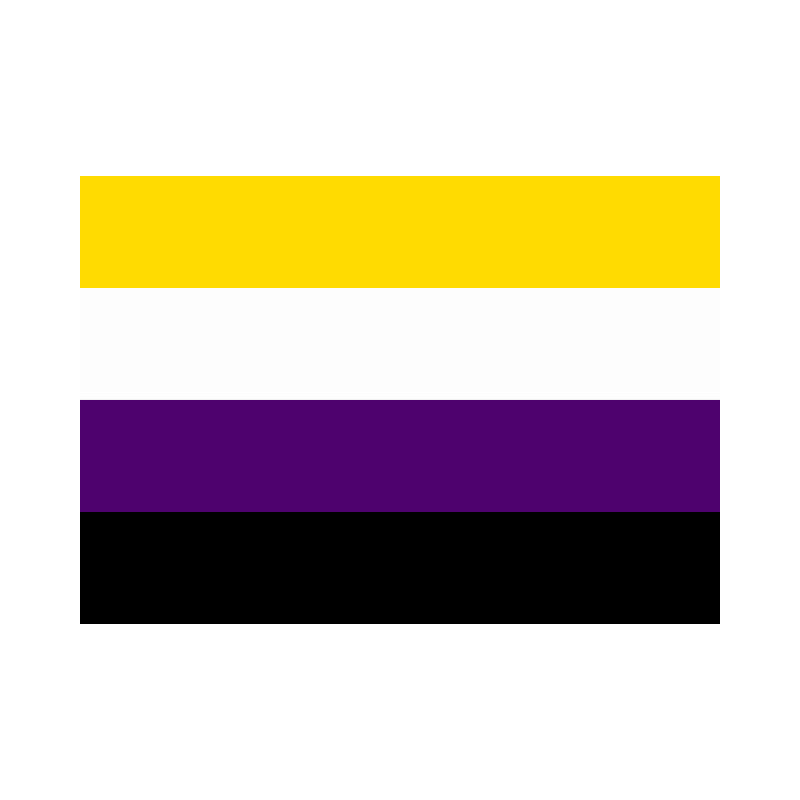 Nonbinary pride flag featuring four horizontal stripes: yellow, white, purple, and black — each color representing different aspects of nonbinary identity.