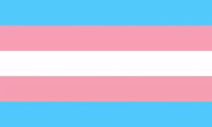 Transgender flag is one of the LGBT+ spectrum flag, uniqe with stripes blue, pink, white and pink and blue again.