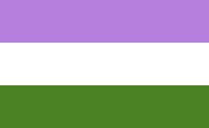 Genderqueer pride flag with three horizontal stripes: lavender (top), white (middle), and dark chartreuse green (bottom).